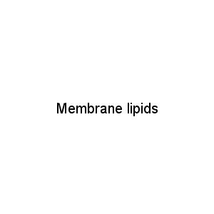 Membrane lipids